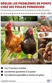 Poules Pondeuses Top 10 Des Races Poule Pondeuse Races De Poules Pondeuses Poule