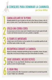 6 Consejos Para Caminar Con Tu Perro Para Mas Tips Y Motivacion Siguenos En Facebook Y Twitter Dog Runners Nicaragua Consejos Para Mascotas Perros Mascotas