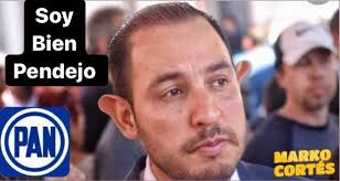 Cómo es el gusano barrenador? Te decimos señas para identificar a esta  especie 👇