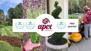 A good lawn service near me must have a license and a liability insurance cover. Apex Lawnco Llc Linkedin
