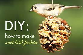 True suet, and especially the kind made with animal fat, provides a good source of energy for many feeder birds.try these homemade suet recipes in your own backyard and see which suet recipe your backyard birds like the most! Diy How To Make Suet Winter Bird Feeders