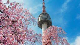 Seoul currently has moderate travel restrictions in place for travellers from kota kinabalu. Cheap Flights To Seoul From Rm 557 Kayak