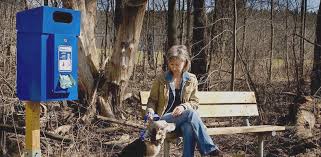 Maybe you would like to learn more about one of these? Dog Waste Dilemma Examining The Problem And Determining The Solution Municipal World