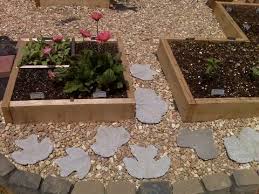 This is my first garden ever. Why Is My Garden Turning Yellow