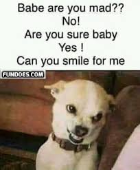 More Funny Memes In Www Fundoes Com To Make Laugh Most Hilarious Memes Funny Dog Memes Funny Relatable Memes