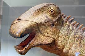 What do you call a dinosaur that takes care of its teeth? What Dinosaur Has 500 Teeth 11 Top Nigersaurus Facts With Images