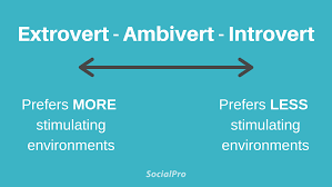 Introverts are naturally adept when it comes to actively listening, according to buelow, who identifies as an introvert herself. Bibm5kpm Xxycm