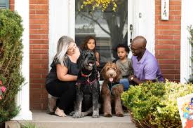 Large litter of pups hence lower price to new families pups white, blonde/white and apricot/rust red mum affectionate labradoodle and. Michigan Doodle Rescue Connect Home