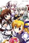 ViVid Strike!