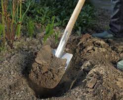 Je nach sorte blühen sie von juni bis zum ersten. Dahlien Pflanzen Schritt Fur Schitt Anleitung Mein Schoner Garten
