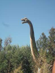 Check spelling or type a new query. Zoologico De Rancagua Parque Safari