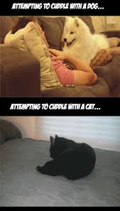 Check spelling or type a new query. Cuddle With Your Pet