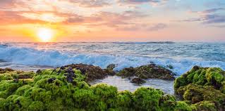 What are the types of ocean? What Will It Take To Achieve Our Sustainable Development Goal For Oceans Ensia