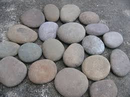 Extra large river rock sets off fish colors. Big Round River Rocks Stones Garden Rocks Large Chunky Rocks Lot 22b Landscaping With Rocks River Rock Stone Pebble Garden