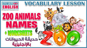 Learn Zoo Animals Names For Kids Basic English Vocabulary Animals Name In English Zoo Animals Names Zoo Animals For Kids