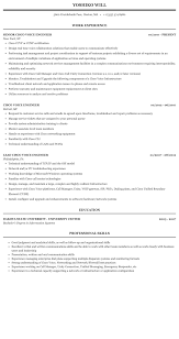 cisco voice engineer resume sample