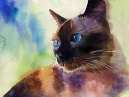 Traditional Applehead Siamese Cat Art Print Of My Watercolor Etsy Chats Siamois Peinture De Cheval Dessin Chat