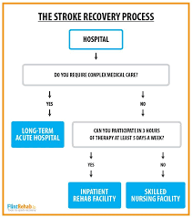 Many of these deaths occur within the first two days. Stroke Recovery Timeline How Long Does It Take To Recover Stroke Recovery Stroke Recovery Activities Stroke Recovery Exercises