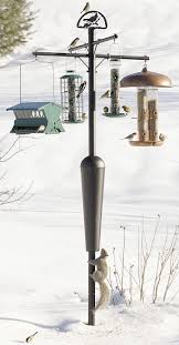 Bird Feeder Pole With Squirrel Baffle Duncraft Com Best Selling Squirrel Proof Squirrel Stopper System Pole Bird Feeder Poles Bird Feeder Stands Squirrel Proof Bird Feeders