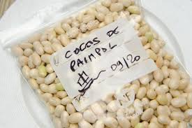 L Idee De La Semaine Congeler Le Coco De Paimpol Cuisine A L Ouest