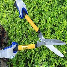 Semprot dengan sedikit air dan tutup dengan koran untuk menjaga pertunasan rumput gandum. Baru Berkebun Gunting Gunting Hedge Cabang Pemangkasan Gunting Memotong Rumput Lumbung Rumput Pemotong Rumput Teleskopik Gunting Shear Forming Shearing Clothesscissor Stand Aliexpress