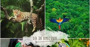 Blog do Reginaldo Cazumbá: 5 de setembro - Dia da Amazônia