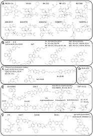 Molecules Free Full Text Targeting Transcription Factors For Cancer Treatment Html
