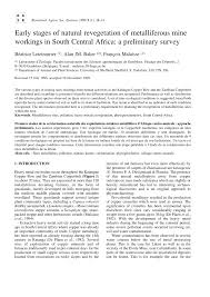 Image result for Haumaniastrum prealtum