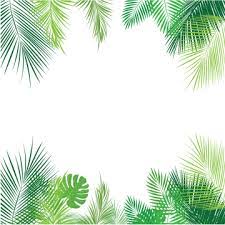 Tropical Palm Leaves Png Png Free Download Palm Tropical Leaves Leaves Png And Vector With Transparent Background For Free Download Tropical Background Leaf Border Tropical Leaves