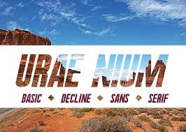 Our products are accessed by easily plugging into our turnkey platform or customize our capabilities for your business by delving into our api set. Urae Nium Schriftart Dafont Com