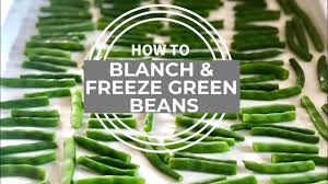 Pour your beans into a bowl of ice water. How To Blanch And Freeze Green Beans Frugal Food Ideas Youtube