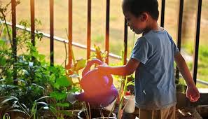 A garden is a planned space, usually outdoors, set aside for the display, cultivation, or enjoyment of plants and other forms of nature. Tips For Home Gardening Planting Activities For Kids