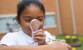 Finding 'Lost Einsteins' Means Fixing K-5 Science, Especially in Rural  Schools