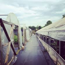 Welcome to our online catalog. Campbell Road Nursery Raleigh Nc Photo By Michelle Smith Raleigh North Carolina Photo