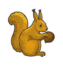 See more ideas about squirrel tattoo, squirrel, pangolin. Squirrel Tattoo Vector Images Over 160