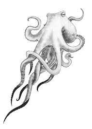 55 Eye Catching Octopus Tattoos Ideas For Men And Women Octopus Tattoos Octopus Drawing Octopus Tattoo Design