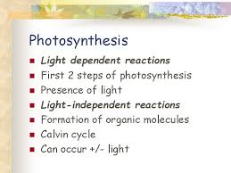 Maybe you would like to learn more about one of these? Photosynthesis Chapter 10 Photosynthesis D Cyanobacteria 10 M