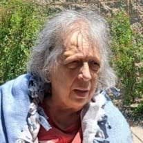 Nancy Lou McGregor Obituary (2024)