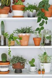 10 X Originele Aankopen Met Ecocheques Plants Terracotta Plant Pots Houseplants Indoor