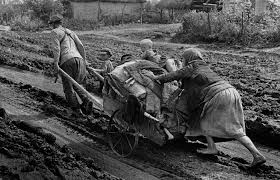 С 1939 года германские войска уже захватили польшу и вторглись в ряд балканских стран. Unikalnaya Kollekciya Fotografij Sdelannyh Voenkorami V Pervye Mesyacy Velikoj Otechestvennoj Vojny