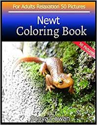 Select from 35919 printable crafts of cartoons, nature, animals, bible and many more. Amazon Com Newt Coloring Book For Adults Relaxation 50 Pictures Newt Sketch Coloring Book Creativity And Mindfulness 9798654366474 Cowan Sonya Books