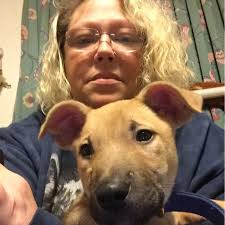 No more squeeking, and for the price I had to