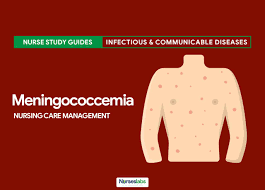Septicemia caused by this pathogen is also referred to as meningococcemia. Meningococcemia Nursing Care Management Study Guide Nurseslabs