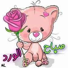 صباح الورد hello kitty kitty picture