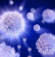 The incidence of colorectal cancer, which is prevalent in western countries, is seeing an increasing trend in india also due to changes in lifestyle and dietary in a majority of patients, bowel cancer starts as small polyps in the intestine. High White Blood Cell Count Causes Types And Other Imbalances