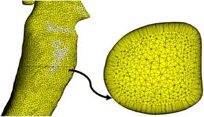 It works with the lungs to allow a person to inhale and exhale. Study Of The Sneezing Effects On The Real Human Upper Airway Using Fluid Structure Interaction Method Springerlink