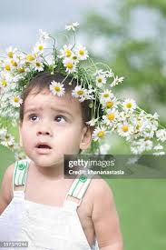 4,859 Spring Wreath Stock Photos, High-Res Pictures, and Images