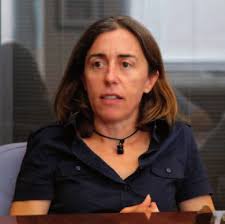 IL GEOMETRA BRESCIANO