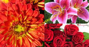 Online Flowers Delivery Flowerz N Cakez Discover The Meanings Of Some Flowers Before Buying Them From Online Shops Flower Delivery Flowers Flowers Online