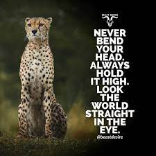 Pin On Life